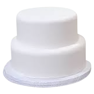 Two Tiered Fondant Cake