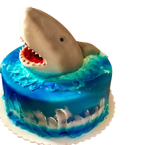 Ocean Shark Cake