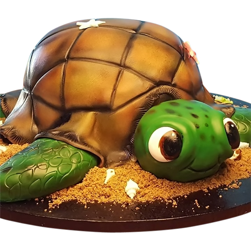 Sculpted Turtle Cake